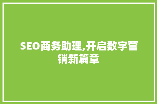 SEO商务助理,开启数字营销新篇章