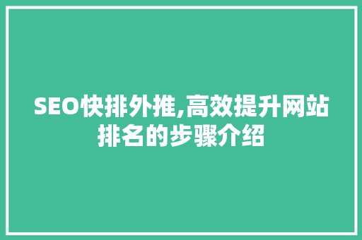 SEO快排外推,高效提升网站排名的步骤介绍