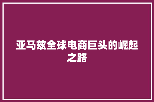 亚马兹全球电商巨头的崛起之路
