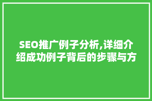 SEO推广例子分析,详细介绍成功例子背后的步骤与方法