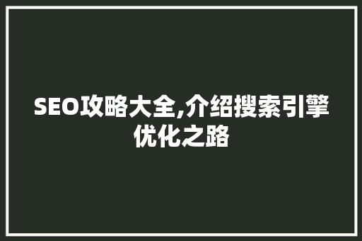 SEO攻略大全,介绍搜索引擎优化之路