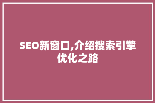 SEO新窗口,介绍搜索引擎优化之路
