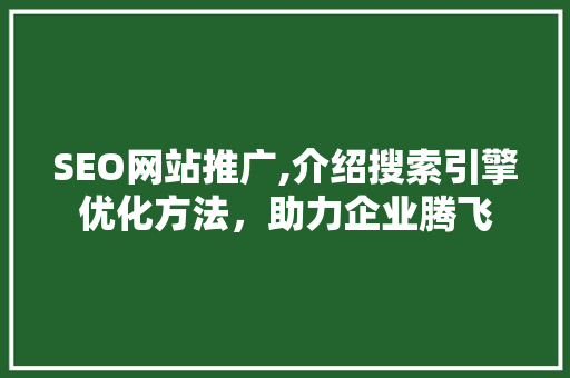 SEO网站推广,介绍搜索引擎优化方法，助力企业腾飞