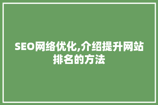 SEO网络优化,介绍提升网站排名的方法