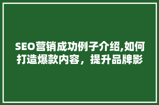 SEO营销成功例子介绍,如何打造爆款内容，提升品牌影响力