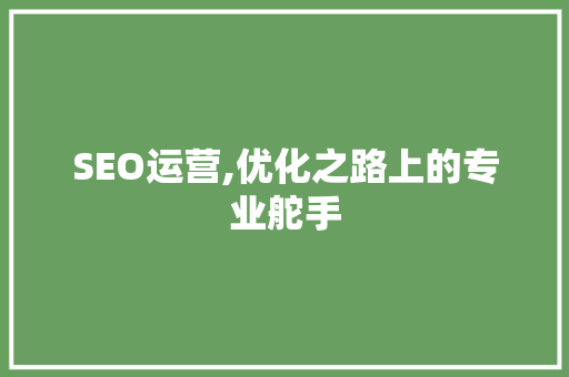 SEO运营,优化之路上的专业舵手