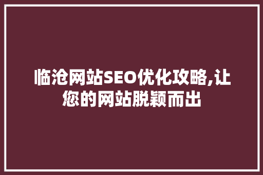 临沧网站SEO优化攻略,让您的网站脱颖而出