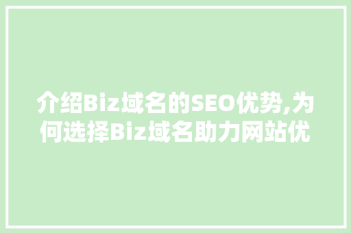 介绍Biz域名的SEO优势,为何选择Biz域名助力网站优化