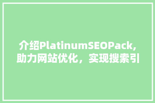 介绍PlatinumSEOPack,助力网站优化，实现搜索引擎排名提升