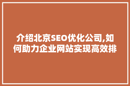 介绍北京SEO优化公司,如何助力企业网站实现高效排名