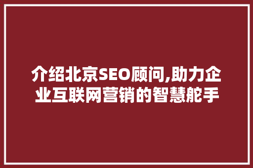 介绍北京SEO顾问,助力企业互联网营销的智慧舵手