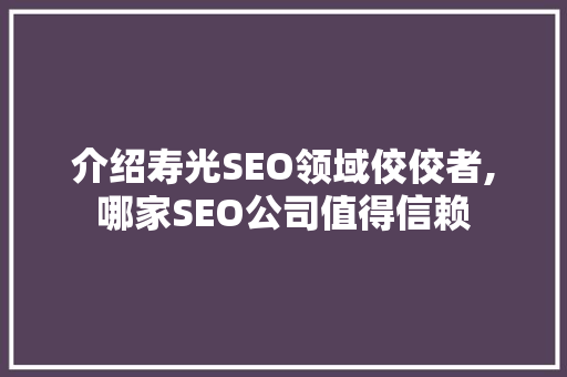 介绍寿光SEO领域佼佼者,哪家SEO公司值得信赖