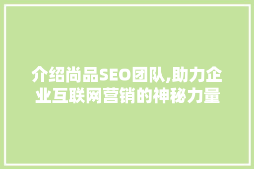 介绍尚品SEO团队,助力企业互联网营销的神秘力量