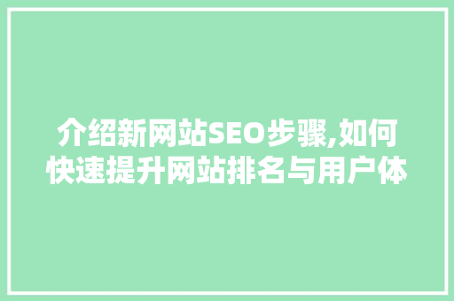 介绍新网站SEO步骤,如何快速提升网站排名与用户体验