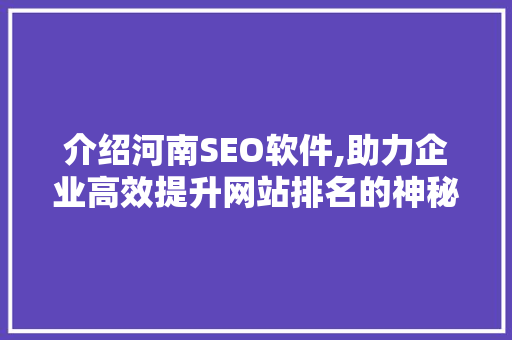 介绍河南SEO软件,助力企业高效提升网站排名的神秘力量