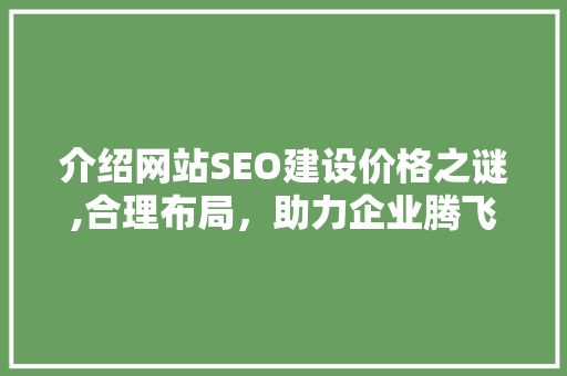 介绍网站SEO建设价格之谜,合理布局，助力企业腾飞