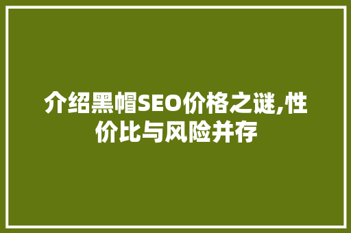 介绍黑帽SEO价格之谜,性价比与风险并存