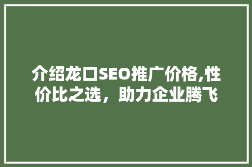 介绍龙口SEO推广价格,性价比之选，助力企业腾飞