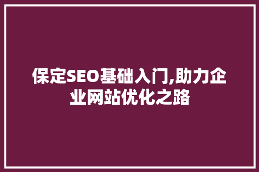 保定SEO基础入门,助力企业网站优化之路