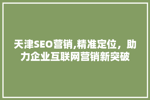 天津SEO营销,精准定位，助力企业互联网营销新突破