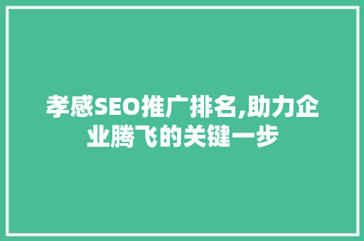 孝感SEO推广排名,助力企业腾飞的关键一步