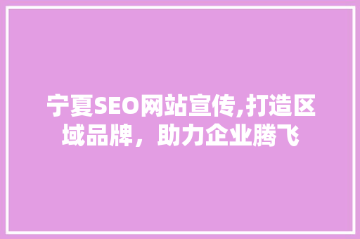宁夏SEO网站宣传,打造区域品牌，助力企业腾飞