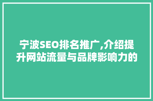 宁波SEO排名推广,介绍提升网站流量与品牌影响力的方法