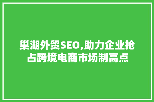 巢湖外贸SEO,助力企业抢占跨境电商市场制高点