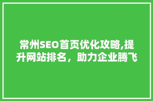 常州SEO首页优化攻略,提升网站排名，助力企业腾飞