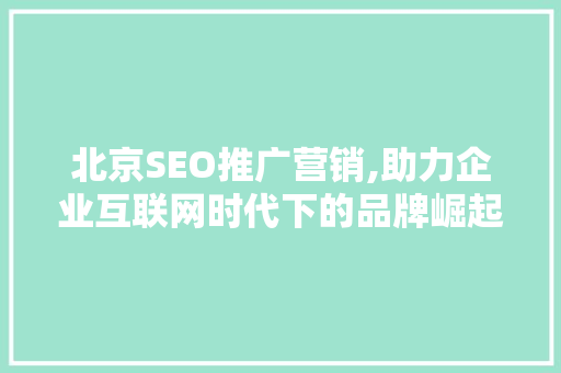 北京SEO推广营销,助力企业互联网时代下的品牌崛起