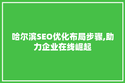 哈尔滨SEO优化布局步骤,助力企业在线崛起