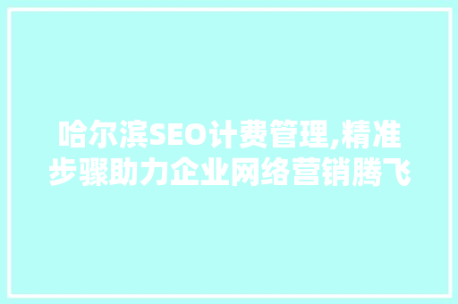哈尔滨SEO计费管理,精准步骤助力企业网络营销腾飞