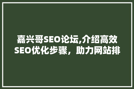 嘉兴哥SEO论坛,介绍高效SEO优化步骤，助力网站排名提升