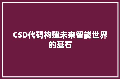 CSD代码构建未来智能世界的基石
