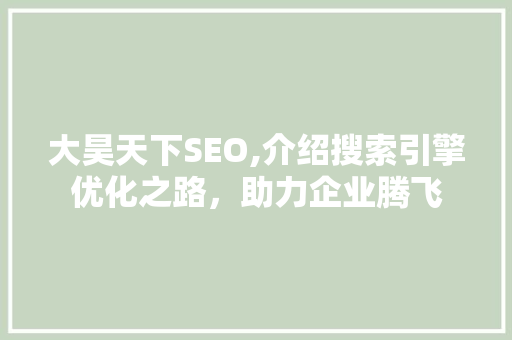 大昊天下SEO,介绍搜索引擎优化之路，助力企业腾飞