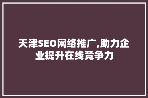 天津SEO网络推广,助力企业提升在线竞争力
