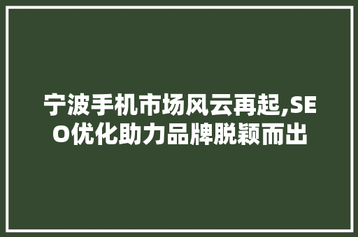 宁波手机市场风云再起,SEO优化助力品牌脱颖而出  第1张
