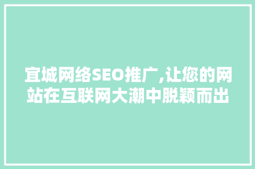 宜城网络SEO推广,让您的网站在互联网大潮中脱颖而出