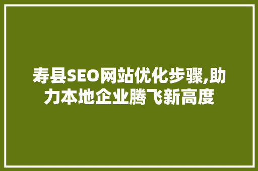 寿县SEO网站优化步骤,助力本地企业腾飞新高度