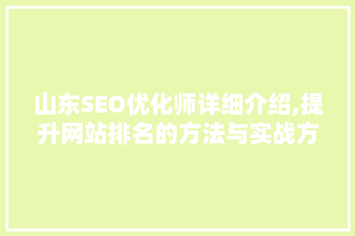 山东SEO优化师详细介绍,提升网站排名的方法与实战方法