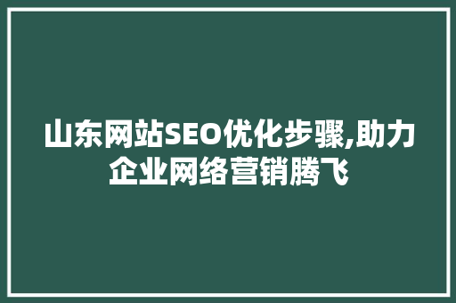 山东网站SEO优化步骤,助力企业网络营销腾飞