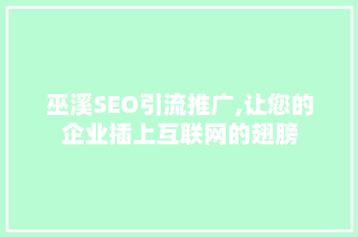 巫溪SEO引流推广,让您的企业插上互联网的翅膀