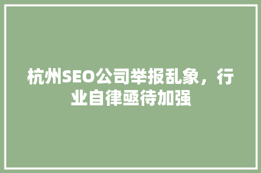 杭州SEO公司举报乱象，行业自律亟待加强