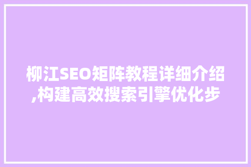 柳江SEO矩阵教程详细介绍,构建高效搜索引擎优化步骤