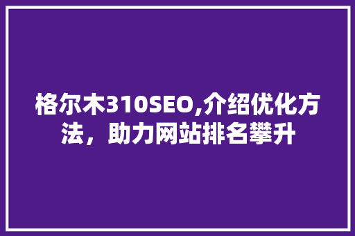 格尔木310SEO,介绍优化方法，助力网站排名攀升