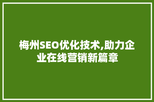 梅州SEO优化技术,助力企业在线营销新篇章