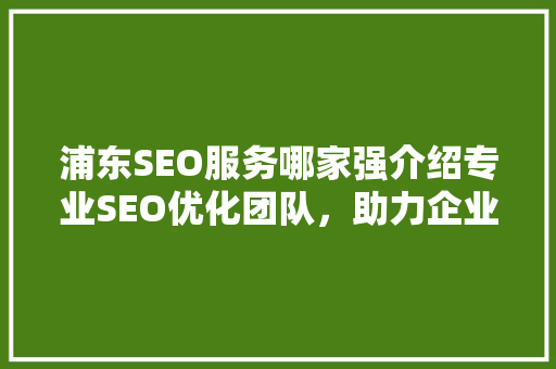 浦东SEO服务哪家强介绍专业SEO优化团队，助力企业提升在线竞争力