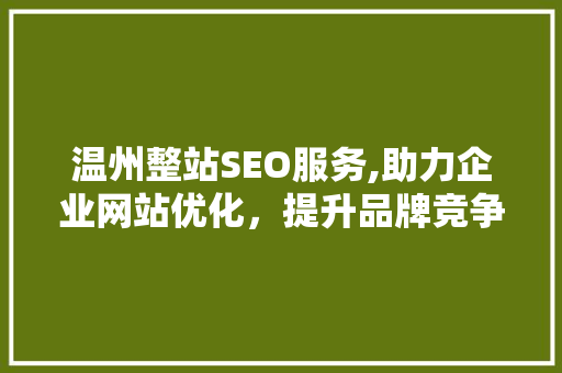 温州整站SEO服务,助力企业网站优化，提升品牌竞争力