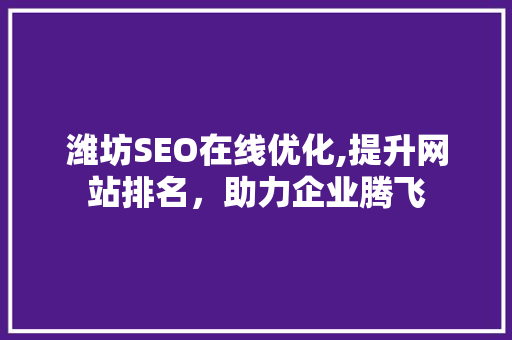 潍坊SEO在线优化,提升网站排名，助力企业腾飞