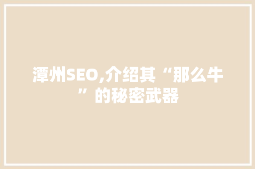 潭州SEO,介绍其“那么牛”的秘密武器